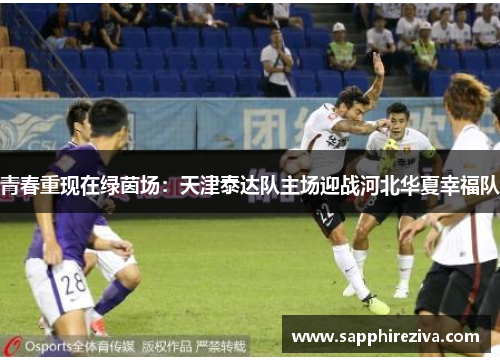 青春重现在绿茵场：天津泰达队主场迎战河北华夏幸福队