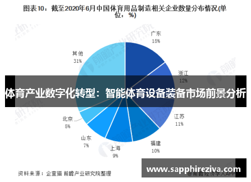 体育产业数字化转型：智能体育设备装备市场前景分析